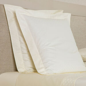 slide 2 Savona Euro Sham