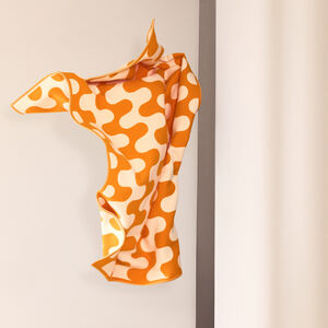 slide 6 Modernism Throw