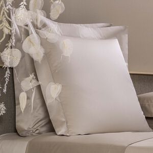 slide 2 Naturalismo Federa Quadrata