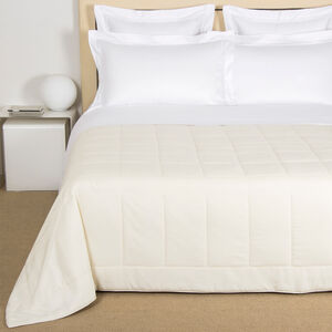 slide 1 Simple Warm Trapunta